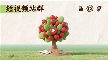 短视频站群系统界面展示