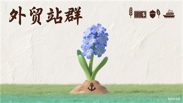 外贸论坛站群系统界面展示